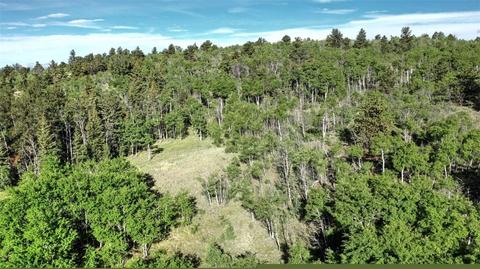 8122 Remington Rd, Como, CO 80432 photo 1
