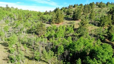 8122 Remington Rd, Como, CO 80432 photo 2