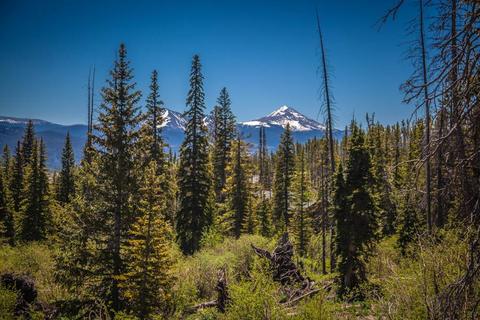 471 Ryan Gulch Rd, Silverthorne, CO 80498 photo 26