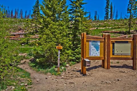 471 Ryan Gulch Rd, Silverthorne, CO 80498 photo 17