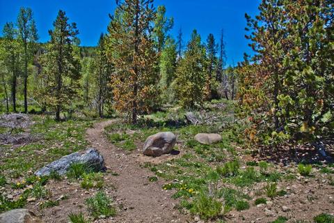 471 Ryan Gulch Rd, Silverthorne, CO 80498 photo 24