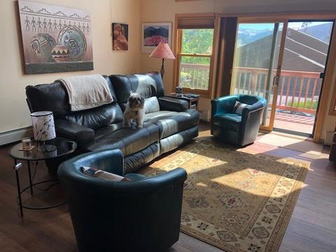 45 Lacy Dr, Silverthorne, CO 80498 photo 4