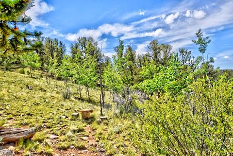 214 Crow Ct, Como, CO 80432 photo 16