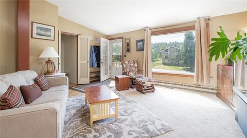 0151 Alpine Rd, Dillon, CO 80435 photo 4