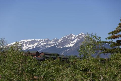 0151 Alpine Rd, Dillon, CO 80435 photo 23