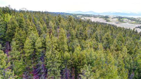 1291 Bowstring Rd, Como, CO 80432 photo 8