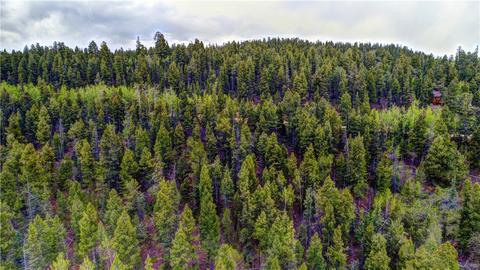 1291 Bowstring Rd, Como, CO 80432 photo 6