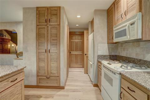 385 Riverside Dr, Silverthorne, CO 80498 photo 10
