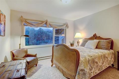 385 Riverside Dr, Silverthorne, CO 80498 photo 22