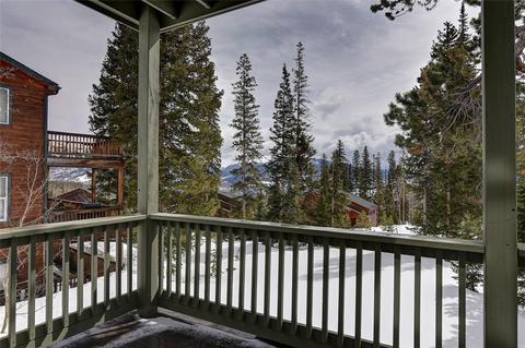 38 Bashore Ct, Silverthorne, CO 80498 photo 33
