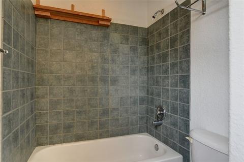 38 Bashore Ct, Silverthorne, CO 80498 photo 12