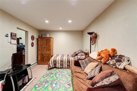 50 Redtail Ct, Dillon, CO 80435 photo 18