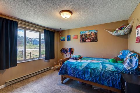 50 Redtail Ct, Dillon, CO 80435 photo 15