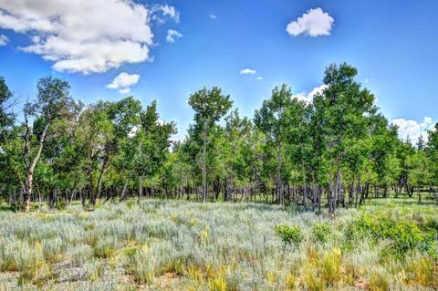 111 Teton Trl, Como, CO 80432 photo 30