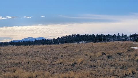 22 Colt Ln, Como, CO 80432 photo 4
