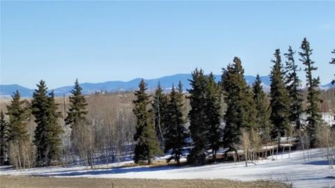 22 Colt Ln, Como, CO 80432 photo 14