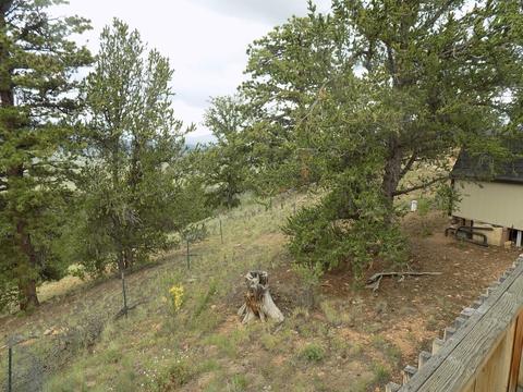 419 Osprey Rd, Como, CO 80432 photo 5