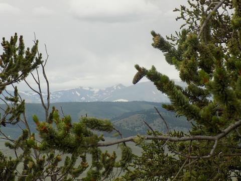 419 Osprey Rd, Como, CO 80432 photo 2
