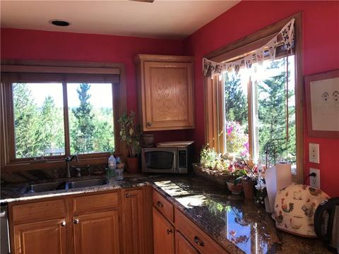 79 Wild Rye Rd, Fairplay, CO 80440 photo 10