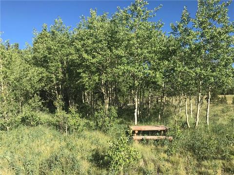 79 Wild Rye Rd, Fairplay, CO 80440 photo 21