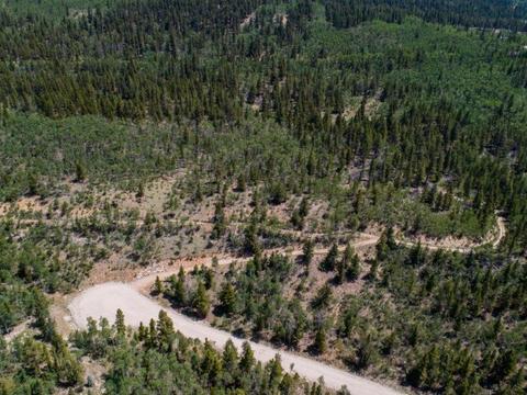 90 Dead Toad Rd, Alma, CO 80420 photo 26