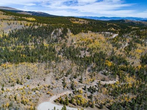 90 Dead Toad Rd, Alma, CO 80420 photo 13
