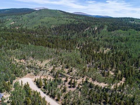 90 Dead Toad Rd, Alma, CO 80420 photo 31