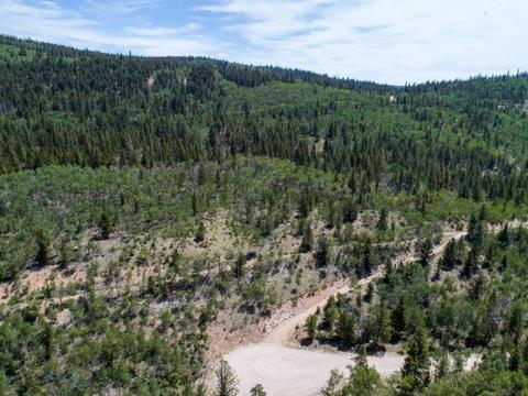 90 Dead Toad Rd, Alma, CO 80420 photo 2