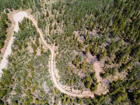 90 Dead Toad Rd, Alma, CO 80420 photo 9