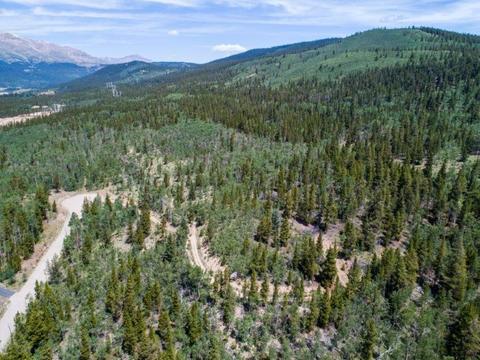 90 Dead Toad Rd, Alma, CO 80420 photo 24