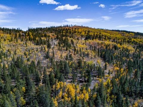 90 Dead Toad Rd, Alma, CO 80420 photo 21