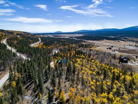 90 Dead Toad Rd, Alma, CO 80420 photo 28