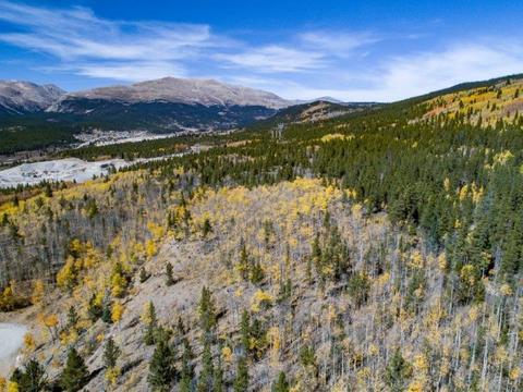 90 Dead Toad Rd, Alma, CO 80420 photo 18