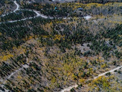 90 Dead Toad Rd, Alma, CO 80420 photo 16