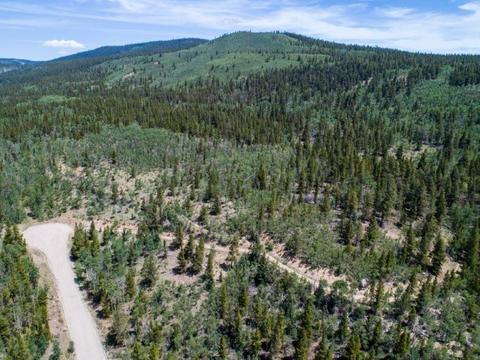 90 Dead Toad Rd, Alma, CO 80420 photo 7