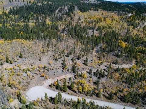 90 Dead Toad Rd, Alma, CO 80420 photo 14