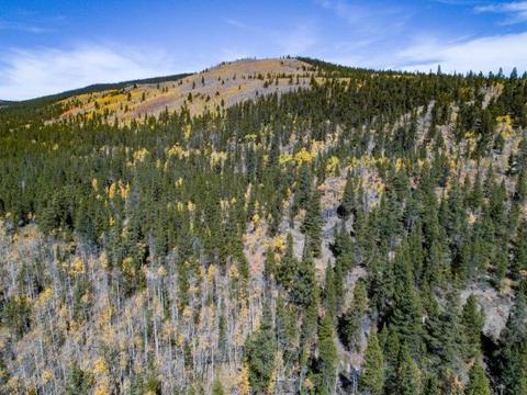 90 Dead Toad Rd, Alma, CO 80420 photo 19