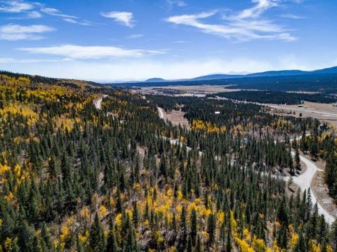 90 Dead Toad Rd, Alma, CO 80420 photo 22