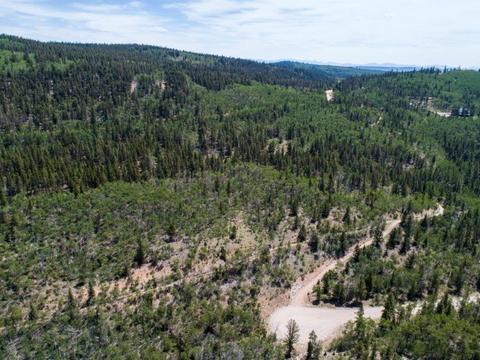 90 Dead Toad Rd, Alma, CO 80420 photo 30