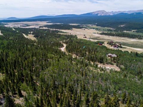 90 Dead Toad Rd, Alma, CO 80420 photo 29