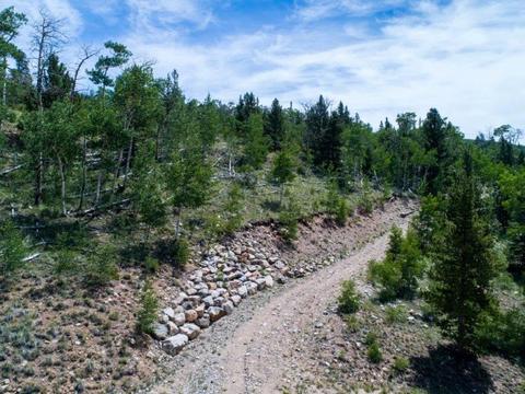 90 Dead Toad Rd, Alma, CO 80420 photo 15
