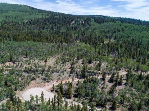 90 Dead Toad Rd, Alma, CO 80420 photo 4