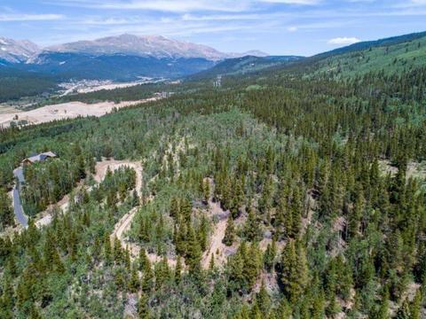 90 Dead Toad Rd, Alma, CO 80420 photo 25