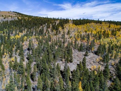 90 Dead Toad Rd, Alma, CO 80420 photo 20