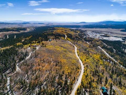90 Dead Toad Rd, Alma, CO 80420 photo 12
