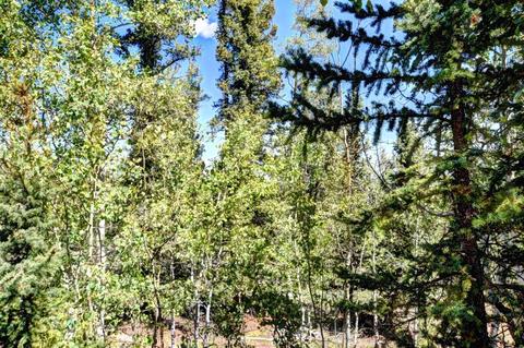 432 Atoka Dr, Como, CO 80432 photo 23