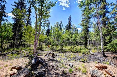 432 Atoka Dr, Como, CO 80432 photo 19