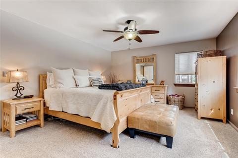 1171 Rainbow Dr, Silverthorne, CO 80498 photo 15