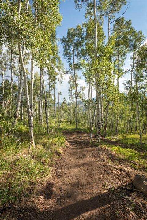 93 Beasley Rd, Silverthorne, CO 80498 photo 20