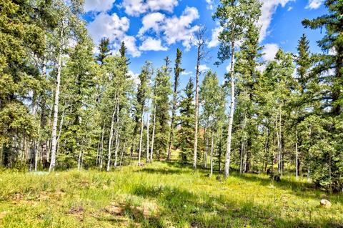 983 Wampum Ln, Como, CO 80432 photo 24